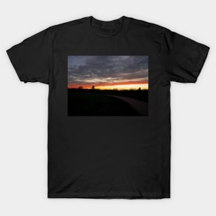 Starlings at sunset on the horizon T-Shirt